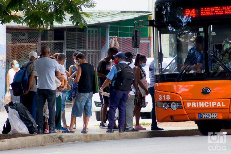 Walking Tours, Sightseeing and Adventures